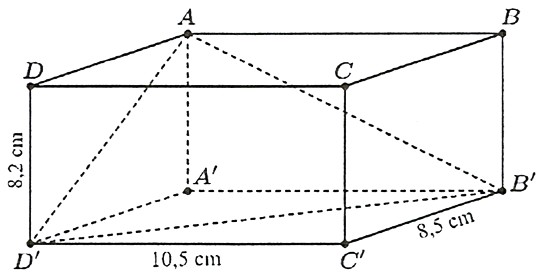 Hình minh họa câu hỏi